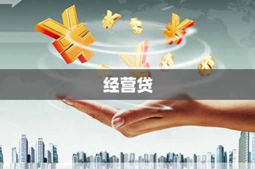 奎文经营贷