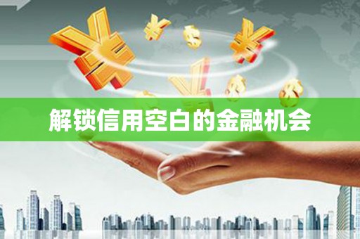 奎文解锁信用空白的金融机会