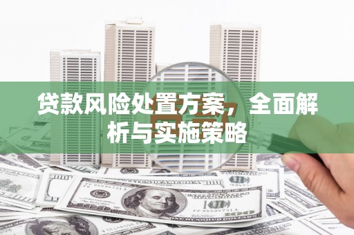 奎文贷款风险处置方案，全面解析与实施策略