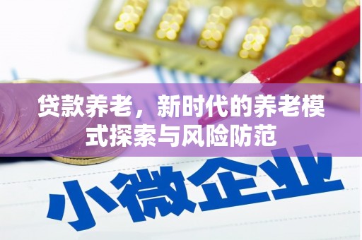奎文贷款养老，新时代的养老模式探索与风险防范