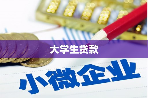 奎文大学生贷款