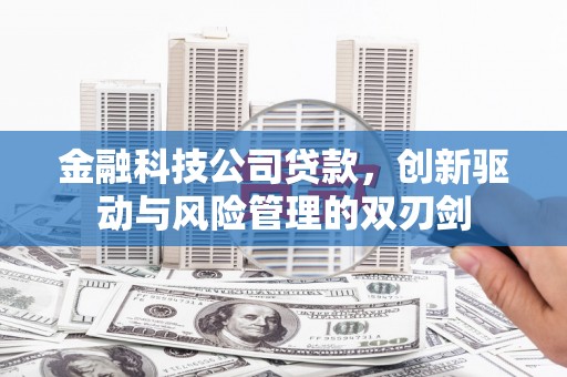 奎文金融科技公司贷款，创新驱动与风险管理的双刃剑
